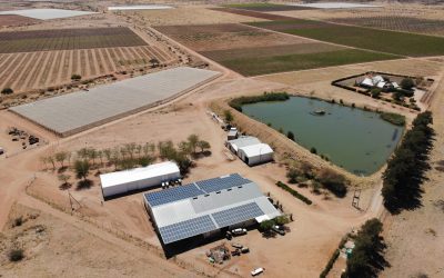 Agricultural Solar PV Solutions – taking Steynmond Farm confidently into the future